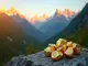 north-peak-resources-erfahrenes-management-und-vielversprechendes-goldprojekt-in-nevada
